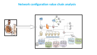 new network value chain.pptx